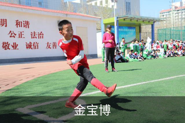 金宝博公司简介